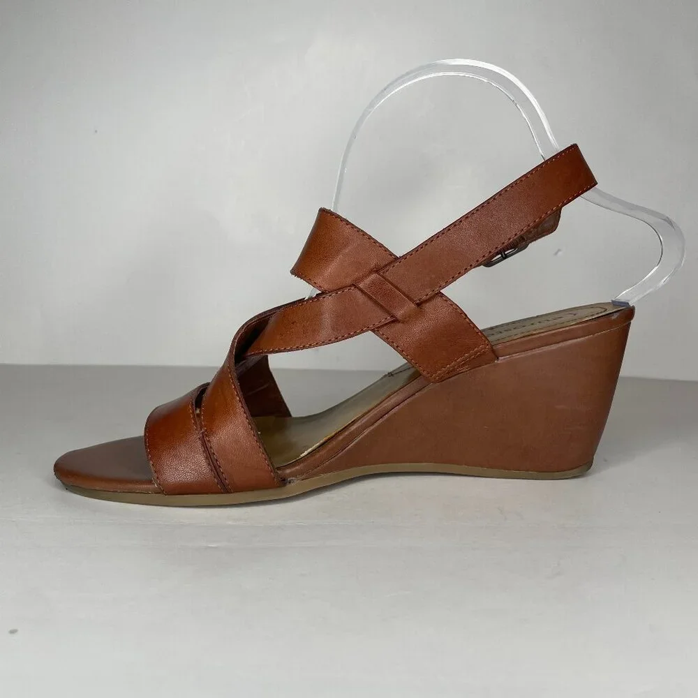 Eurostep features elevate
